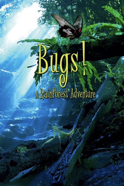 Bugs! A Rainforest Adventure poster
