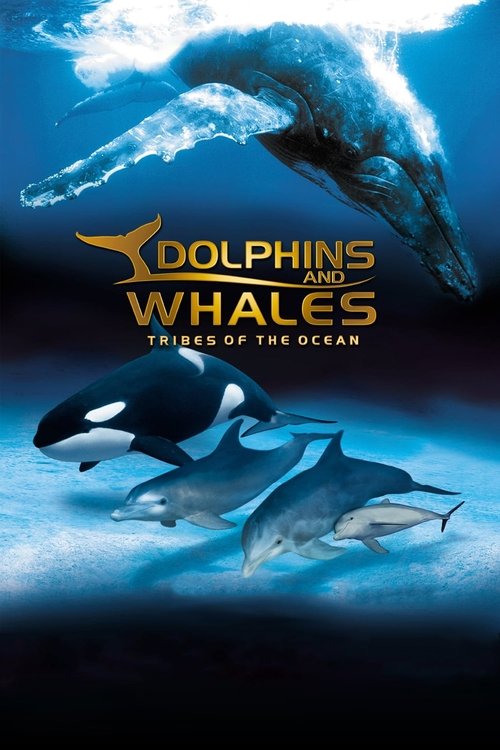 Dolphins and Whales 3D - Tribes of the Ocean