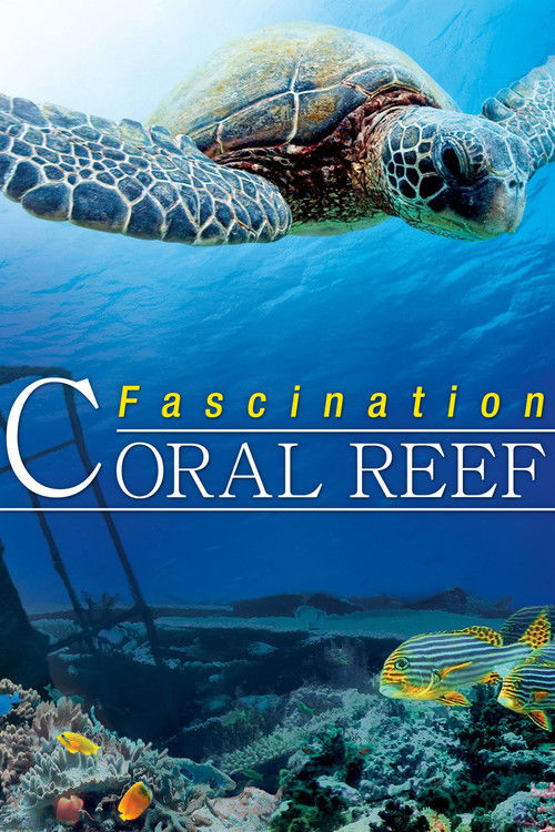 Fascination Coral Reef 3D