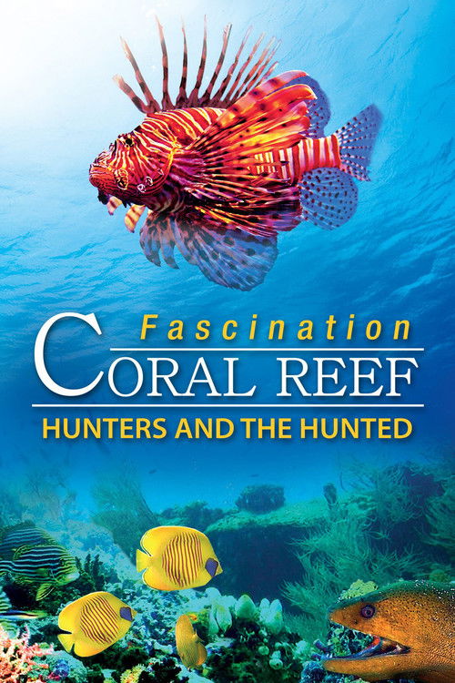 Fascination Coral Reef 3D - Hunters & the Hunted