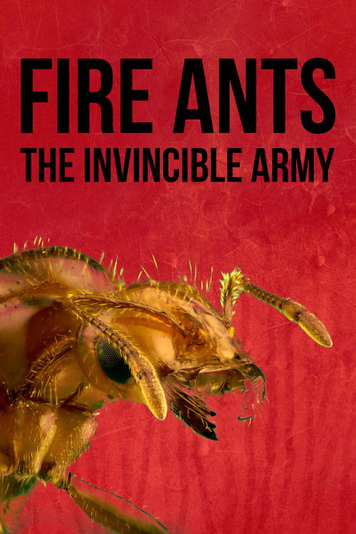 Fire Ants 3D - The Invincible Army poster