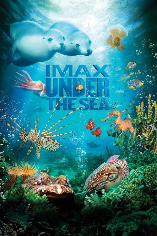 IMAX Under The Sea 3D poster