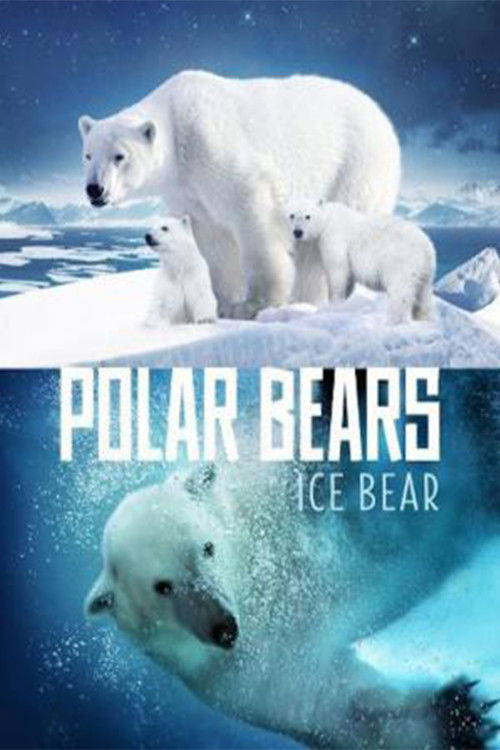 Polar Bears - Ice Bear